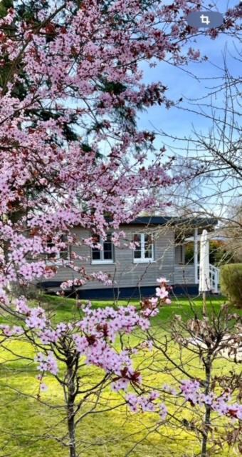 Ferienhaus Meine Insel Scheid (Waldeck-Frankenberg) Exterior foto